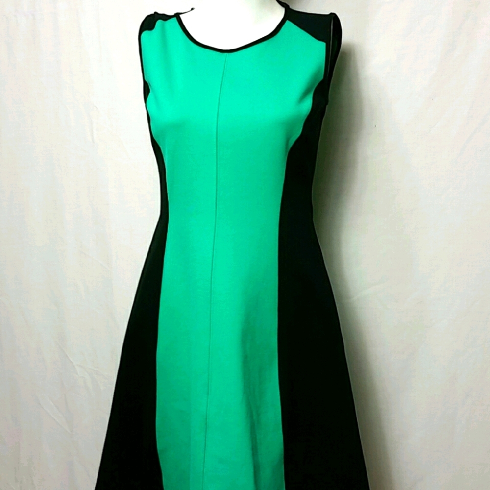 New York & Co. X-SMALL Green fitted flare Dress